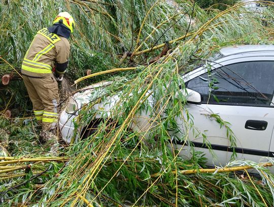 900 interwencji strażaków w jedną dobę: Burze sieją spustoszenie