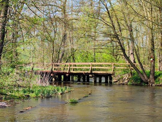 Drewniany most na Welu zostanie przebudowany