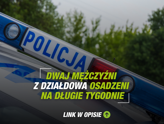 Dwaj mężczyźni z Działdowa osadzeni na długie tygodnie