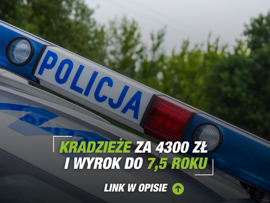 Kradzieże za 4300 zł i wyrok do 7,5 roku"