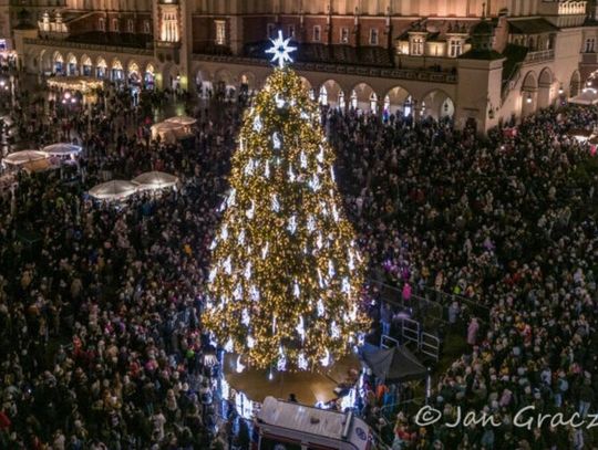 Krakowska choinka najpiękniejsza na świecie. Pokonała nawet Nowy Jork