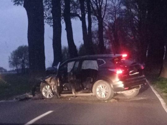 Miał blisko 2 promile alkoholu. Uderzył w drzewo na prostej drodze