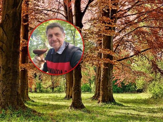 Można już  zbierać grzyby