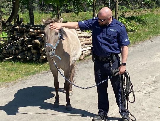 Niecodzienna akcja olsztyneckich policjantów