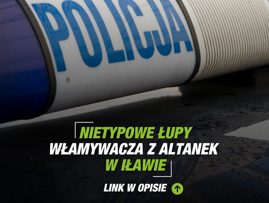 Nietypowe łupy włamywacza z altanek w Iławie