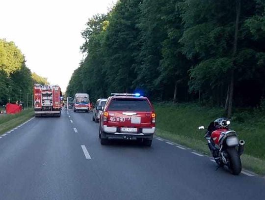 Policjanci podsumowali miniony weekend w powiecie iławskim. Dwie ofiary śmiertelne