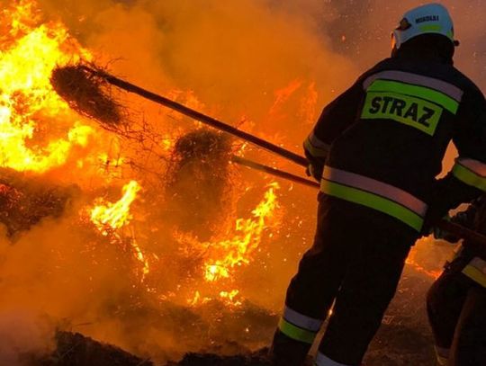 Pożar w Mrocznie. Interweniuje kilka zastępów straży pożarnej