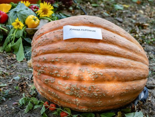 Relacja z Festiwalu DYNI w Durągu koło Ostródy