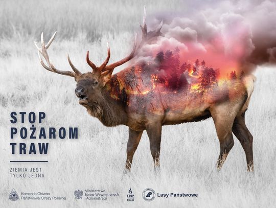 STOP POŻAROM TRAW