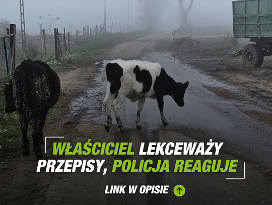 Właściciel lekceważy przepisy, policja reaguje