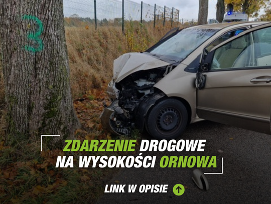 Zdarzenie drogowe na wysokości Ornowa