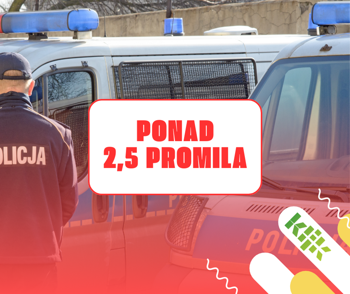 21-letni działdowianin kierował mając ponad 2,5 promila