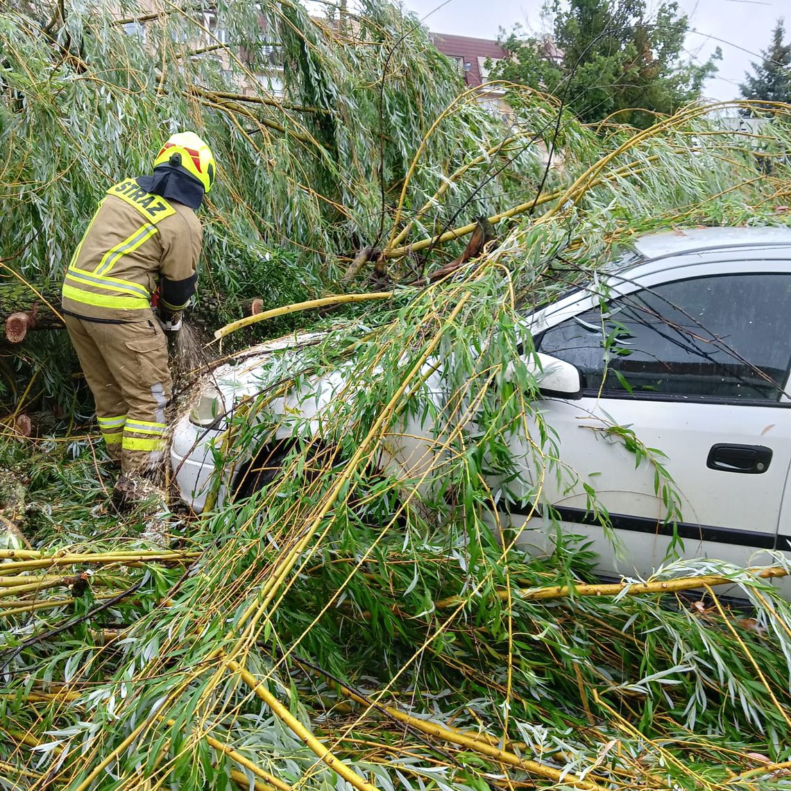 900 interwencji strażaków w jedną dobę: Burze sieją spustoszenie