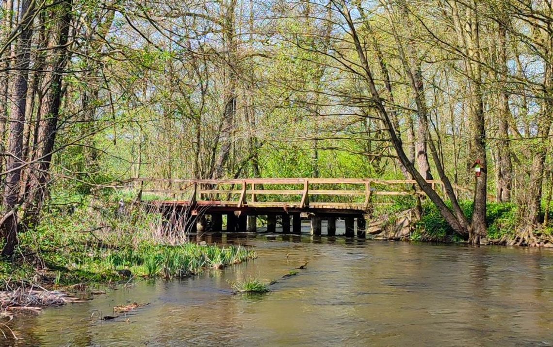 Drewniany most na Welu zostanie przebudowany