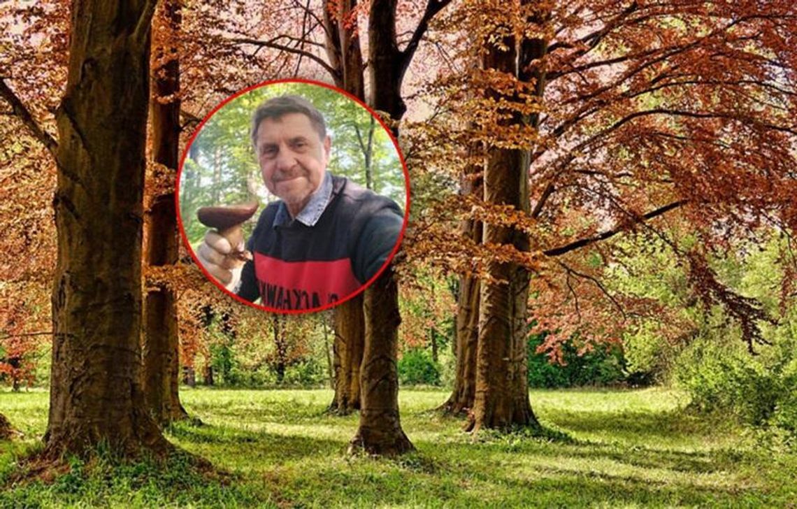 Można już  zbierać grzyby