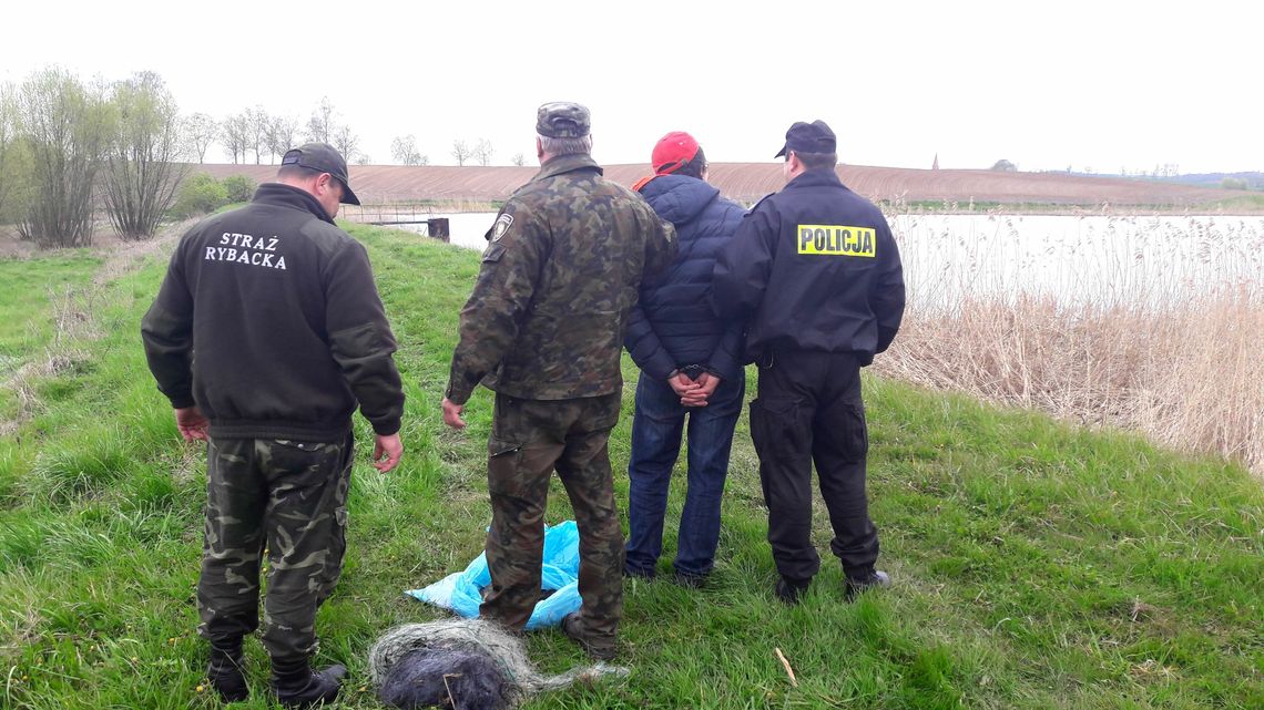 Kłusownik łowił ryby w jeziorze Studa koło Jamielnika i został zatrzymany