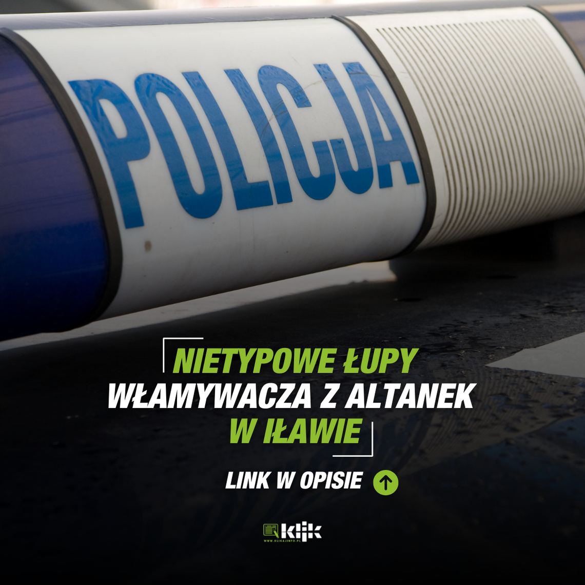 Nietypowe łupy włamywacza z altanek w Iławie