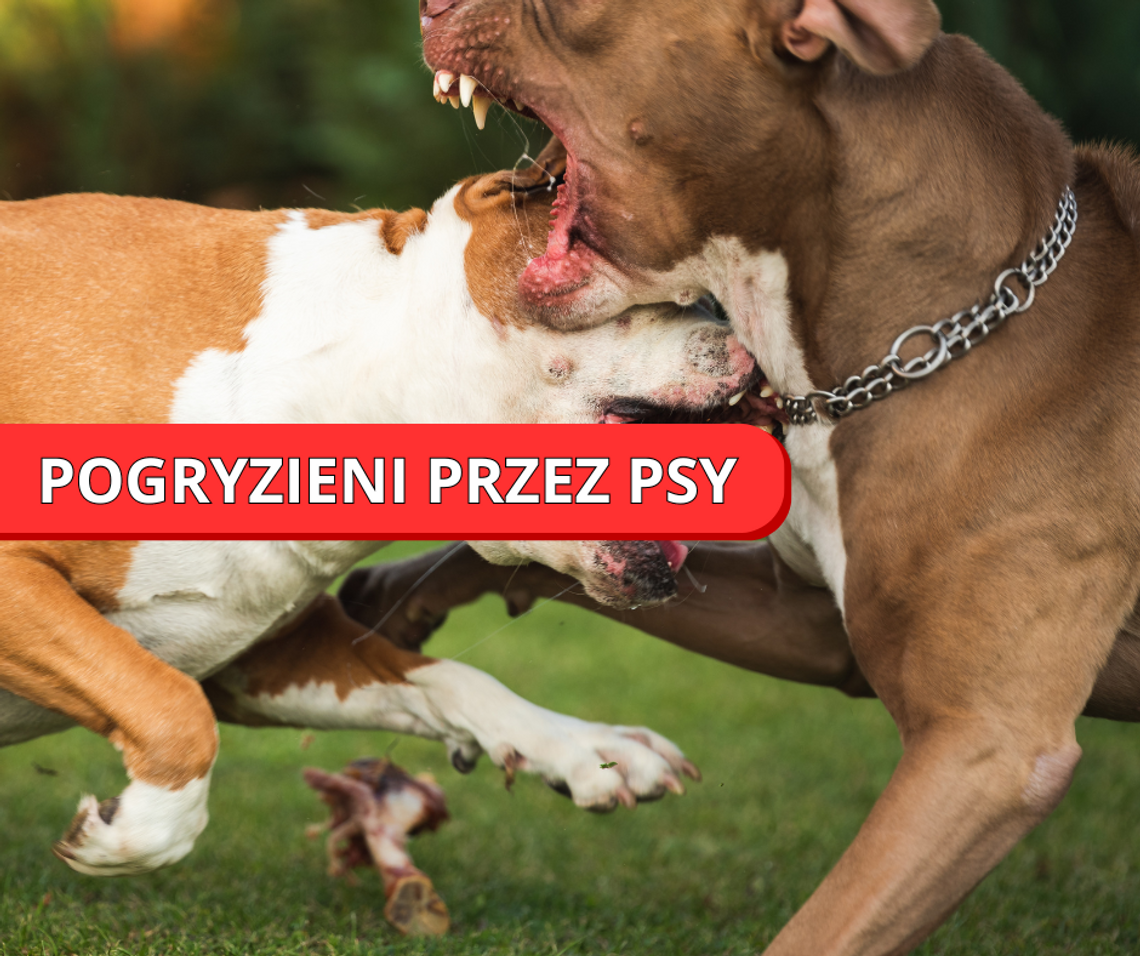 PILNE! Pogryzieni przez PSY !!!