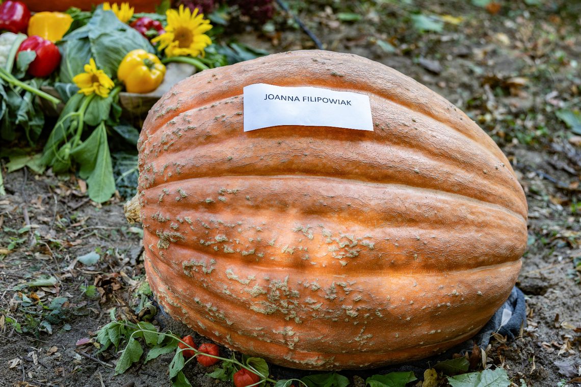 Relacja z Festiwalu DYNI w Durągu koło Ostródy