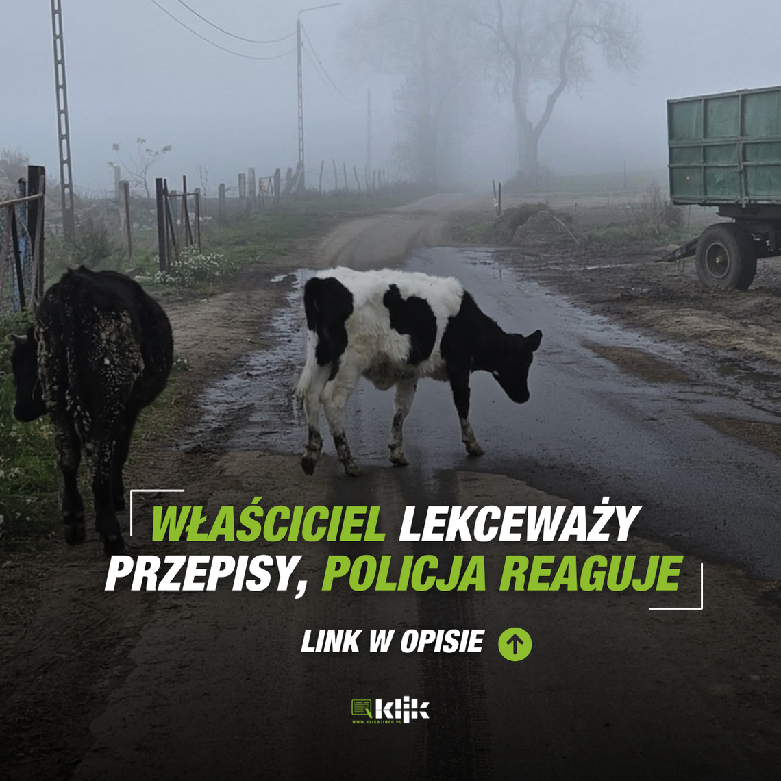 Właściciel lekceważy przepisy, policja reaguje