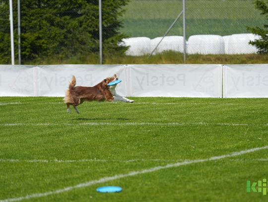 🐕✨ Pokazy freestylu psów w Prątnicy! ✨🐕