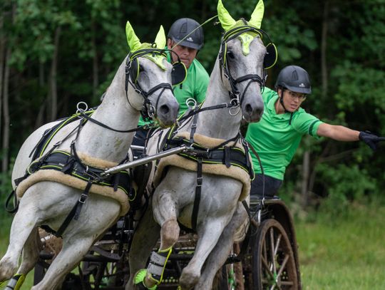 🐎zawody w powożeniu zaprzęgami parokonnymi